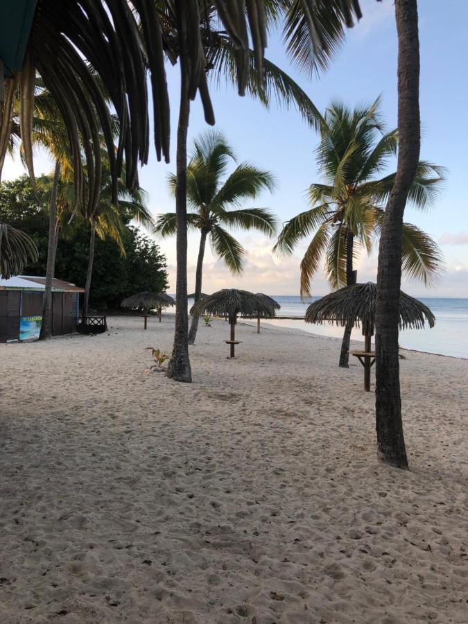 Brin D'Ile Anse Des Rochers Vue Mer A 50 M De La Plage Et Piscine سانت فرانسوا المظهر الخارجي الصورة