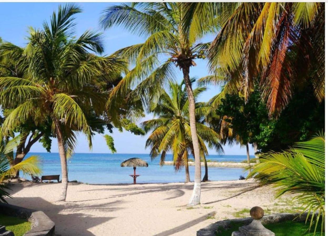 Brin D'Ile Anse Des Rochers Vue Mer A 50 M De La Plage Et Piscine سانت فرانسوا المظهر الخارجي الصورة