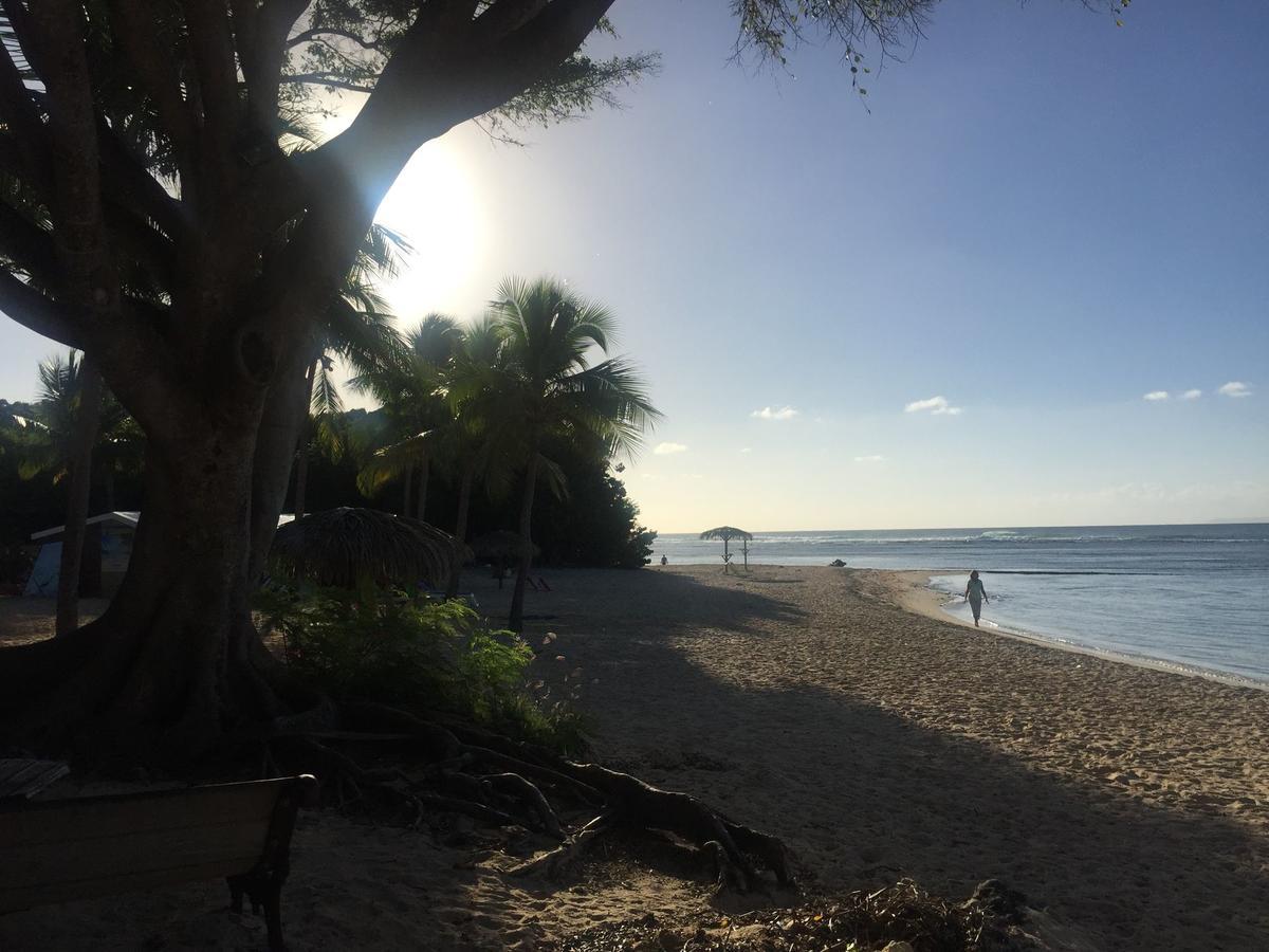 Brin D'Ile Anse Des Rochers Vue Mer A 50 M De La Plage Et Piscine سانت فرانسوا المظهر الخارجي الصورة